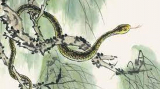 Thời hoàng kim đã đến: 3 con giáp tiền tài thăng hoa, một bước đổi đời giàu sang chạm nóc