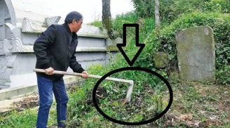 Thầy phong thuỷ bảo: 3 cây không trồng trước mộ, 4 thứ không đặt lên giường, làm sai quanh năm nghèo