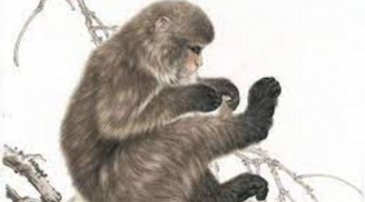 Tháng 7 ai đen mặc ai: 3 con giáp phát tài, tiền vào như nước, ngồi im hưởng lộc trời