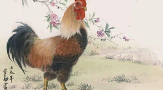 Chuột sa hũ nếp: 3 tuổi đi đến đâu cũng vấp vàng, sự nghiệp vẻ vang, tiền về đầy túi trong 44 ngày tới