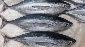 Đi chợ thấy 7 loại cá này mua ngay kẻo hết: Giàu dinh dưỡng hơn thuốc bổ, giá cả bình dân