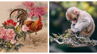 Thần Tài gõ cửa: 3 con giáp tha hồ hốt lộc vào cuối tháng 6 Âm lịch