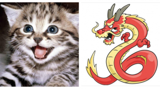 Cuối tuần (12-13/8): 2 tuổi hốt vàng hốt bạc, 1 tuổi vướng đủ vận xui