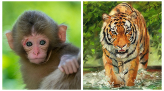 Tháng 7 Âm vượng vận quý nhân: 3 con giáp làm gì cũng có người nâng đỡ