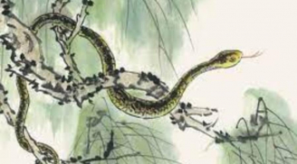 Đúng hôm nay 18/8, 3 con giáp chạm tay vào lộc khủng, giàu có vang danh, vận may ngập lối