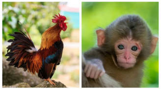 Từ nay đến cuối tháng 8: 3 con giáp lắm tiền nhiều của, lộc lá tứ phương đổ về