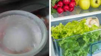 Đặt bát nước vào tủ lạnh qua đêm: Lợi ích bất ngờ, cuối tháng tiền điện giảm 'một nửa', cả nhà cùng vui