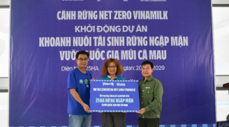 Đẩy manh dự án 'CÁNH RỪNG NET ZERO', Vinamilk khoanh nuôi tái sinh 25HA rừng ngập măn Cà Mau