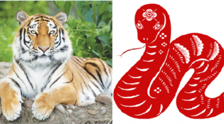 Lộc tràn vào nhà: 3 con giáp thành công tới tấp, giàu có nhất tháng 9