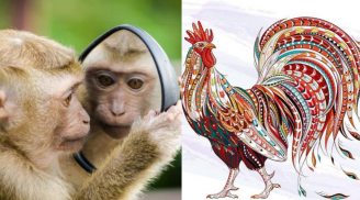 Tuần mới (11-17/9): 2 tuổi trời cho phú quý tha hồ hốt vàng bạc, 1 tuổi lao đao suốt tuần