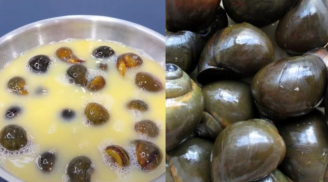 Ngâm ốc với loại quả này, ốc sạch nhớt không cần chà rửa