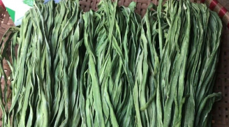 Bật mí loại rau đắt hơn thịt, bổ ngang nhân sâm, Việt Nam có nhiều nhưng ít người biết mà ăn