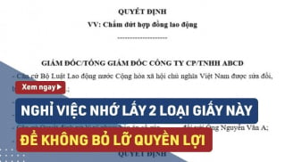 Những loại giấy tờ nào cần phải lấy ngay khi nghỉ việc? Biết kẻo mất quyền lợi