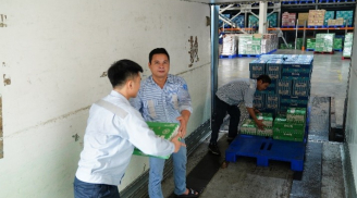 Vinamilk hỗ trợ gần 3 tỷ đồng sản phẩm dinh dưỡng thiết yếu cho 10 tỉnh thành ảnh hưởng bão lũ