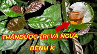 4 loại nước ‘khắc tinh’ của K, nguyên liệu quá rẻ, có sẵn trong vườn