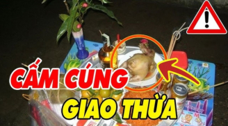 Chọn gà cúng ông bà ta chỉ dâng gà trống không chọn gà mái, lý do là gì?