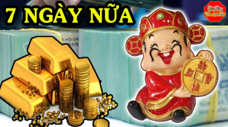 7 ngày liên tiếp (7/2-14/2): 3 tuổi nhận vía thần Tài tiền bạc cứ ùn ùn kéo vào cửa