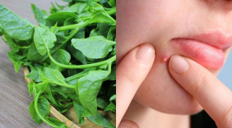 Ăn rau mồng tơi rất tốt nhưng có 2 người đại kị, ăn ít cũng tích độc