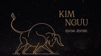 Tử vi 12 cung Hoàng Đạo từ ngày 15/6 – 21/6/2025: Vận mệnh và sự nghiệp