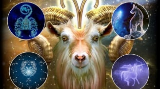 Cung hoàng đạo thích thử thách: Top 5 cung mạnh mẽ nhất