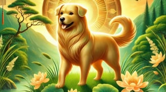 10 ngày Vàng (8/7 -18/7), 3 con giáp tiền tỷ về tay, ngâm mình trong mưa vàng biển bạc