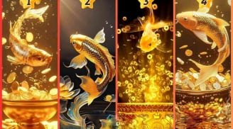 Phúc Hoạ Tại Tâm: 2 tuổi Tiền -Tài -Danh có đủ, 2 tuổi khốn khó mới giàu trước tuổi 35