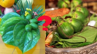 Hái bao nhiêu lá trầu, quả cau để thắp hương để Tổ tiên ưng bụng ban Lộc đề huề?