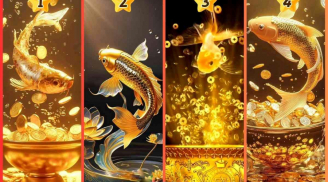 Gặp Thời Một Tốt Cũng Nên: 3 tuổi tháng 8 giàu lên, tháng 9 thu bạc tỷ
