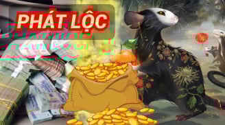Phú Quý Đổ Về cùng lúc: 2 tuổi thuận tay làm giàu, 2 tuổi buôn gì cũng lãi