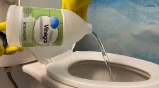 Chỉ nhỏ 2 giọt vào bồn cầu, tác dụng cực bất ngờ, bạn sẽ tiếc nuối vì không biết sớm