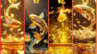 Tử 21/8 đến 25/8, 3 con giáp Cá Chép Hoá Rồng, thành công mỹ mãn