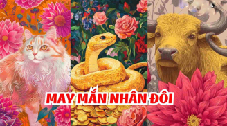 Từ 9/9 đến 15/9 Âm Hòa -Dương Hợp, 3 con giáp xả sạch vận xui, tứ bề phát Lộc