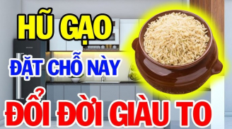 Hũ gạo đặt đúng chỗ này, Tiền Tài chảy về ào ạt