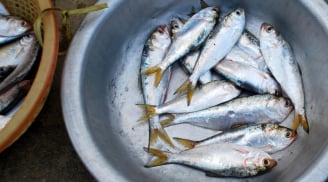 Loại cá ăn được cả xương, thịt mềm bổ dưỡng