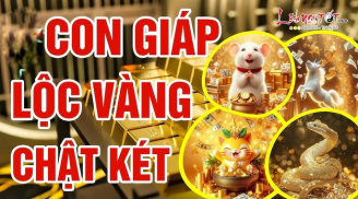 Lộc - Vàng lấp lánh: 3 tuổi từ Công Hoá Phượng, bội thu tiền tài
