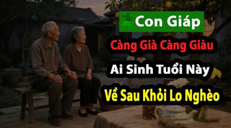 Tuổi 45 đại phát, tuổi 50 phú quý về: 3 con giáp sống đời đại gia