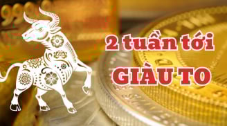 Gọi tên 3 con giáp Tay Trái vơ Tiền- Tay Phải Hốt bạc, sự nghiệp bứt tốc như Rồng