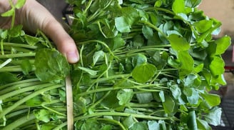 4 loại rau ít “ngậm” thuốc trừ sâu nhất chợ, giá bán chỉ 10 nghìn/bó