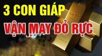 Top 3 con giáp Tứ Phương Tụ Lộc, sang tháng 12 mở cửa Tiền ùa về