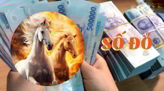 Từ 22/11 đến 1/12: 3 con giáp Tình -Tiền phấp phới, 1 tuổi chới với nợ nần