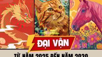 Vỗ Tay Đón Chào: 3 tuổi Khoác Vàng Đầy Người, tiền về không ngớt 3 tháng tới