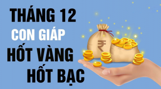 Cửa Tiền Tài mở đúng tháng 12/2025: 3 con giáp nhận lộc liên hồi