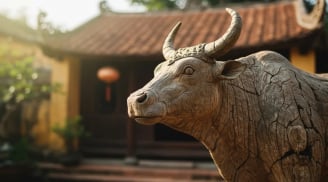 Quý nhân kề cận: 3 tuổi được nâng đỡ, 2 năm tới gỡ nghèo