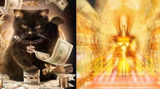 3 Con giáp được lộc buôn bán, Lãi Đơn Lãi Kép