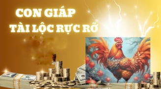 Tình Đến Tiền Về sau 15 Âm: 3 con giáp No Nê mà hưởng