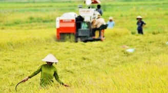 Tin vui: Hộ gia đình có đất nông nghiệp được hưởng 1 khoản lợi lớn