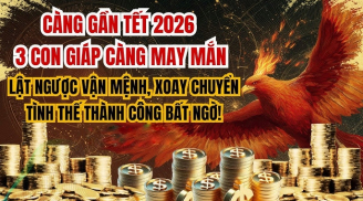 Lật Ngược Thế Nghèo: 3 con giáp làm giàu quá dễ trước Bính Ngọ 2026