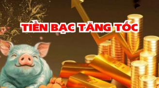 Top 3 con giáp Tình - Tiền ngập ví, phú quý hưởng đều nhất 2026