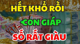 Từ 16/12 đến 20/12, 3 con giáp chia nhau bạc tỷ, tiền thoả mái tiêu