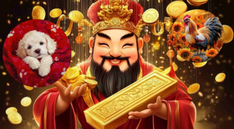 Nháy mắt có tiền: 3 con giáp thảnh thơi ngồi hưởng trước Giao thừa 2026